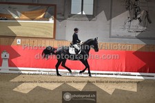 ref. photo 3498481