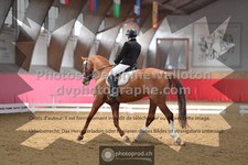 ref. photo 3498507