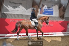 ref. photo 3498521