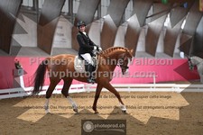 ref. photo 3498527