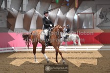 ref. photo 3498528