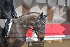 ref. photo 3498889