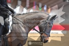 ref. photo 3498905