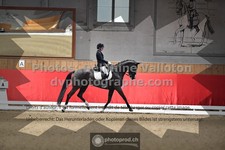 ref. photo 3498965