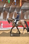 ref. photo 3499017