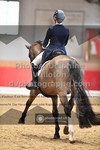 ref. photo 3499022