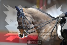 ref. photo 3499029