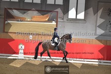 ref. photo 3499043