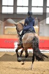 ref. photo 3499048