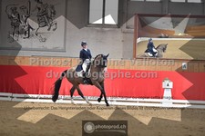 ref. photo 3499050