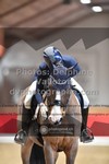 ref. photo 3499061