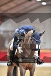 ref. photo 3499062
