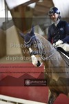 ref. photo 3499066
