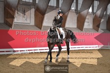 ref. photo 3499086