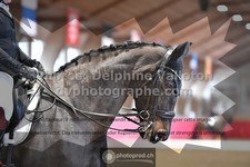 ref. photo 3499130