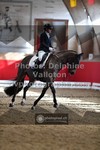 ref. photo 3499175