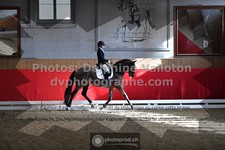 ref. photo 3499179