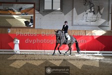 ref. photo 3499192