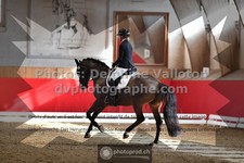 ref. photo 3499195