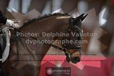 ref. photo 3499220