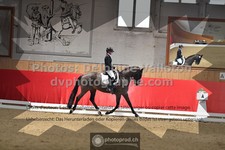 ref. photo 3499223