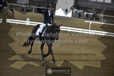 ref. photo 3499344