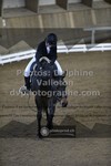 ref. photo 3499359