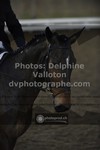 ref. photo 3499365