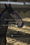ref. photo 3499366