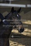 ref. photo 3499367