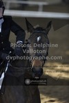 ref. photo 3499368