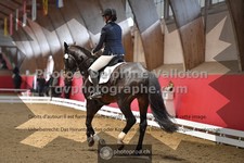 ref. photo 3499431