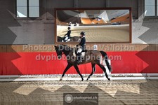 ref. photo 3499456