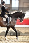 ref. photo 3499464