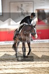ref. photo 3499484
