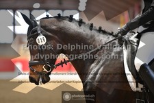 ref. photo 3499535