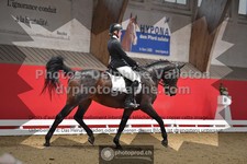 ref. photo 3499540