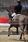 ref. photo 3499600