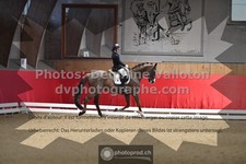 ref. photo 3499602
