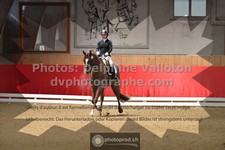 ref. photo 3499604