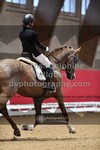 ref. photo 3499608