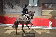 ref. photo 3499611