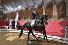 ref. photo 3499670