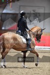 ref. photo 3499688