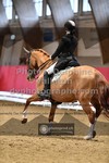 ref. photo 3499696