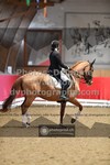 ref. photo 3499705