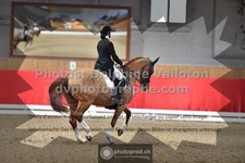 ref. photo 3499707