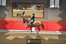 ref. photo 3499711