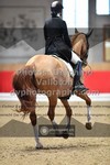ref. photo 3499729