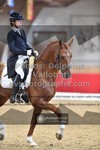 ref. photo 3499743